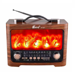 GLRTECH FEPE MUSIC PLAYER FM FP-821